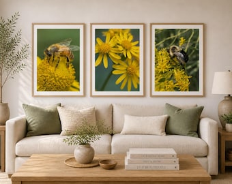Set di 3 stampe da parete Nettare e Fioritura / Ape, stampe fotografiche di impollinatori, decorazioni floreali gialle, arte naturalistica da giardino.