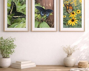 Set di 3 stampe da parete "Giardino delle Farfalle", con fotografie di farfalle, decorazioni con farfalle monarca e macaone, decorazioni floreali e naturalistiche, stile giardino rustico.