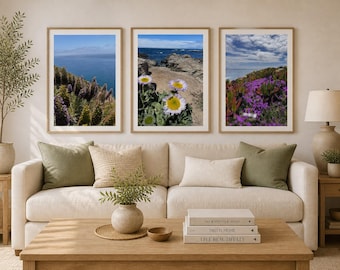 Collezione Pacific Bloom / Set di 3 stampe murali a tema costiero, stampe di spiagge californiane, fotografie di oceano e fiori, decorazioni murali neutre ispirate alla natura.