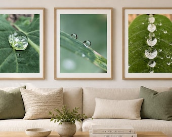 Uno, Due, Molti – Set di 3 stampe murali con gocce d'acqua, fotografia macro naturalistica, stampe botaniche verdi, arredamento zen minimalista