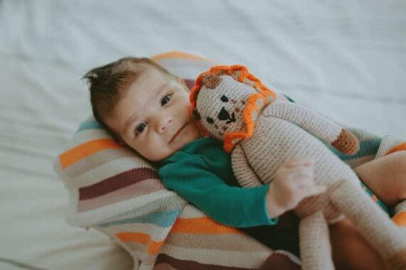 Safari Lion Stuffed Animal