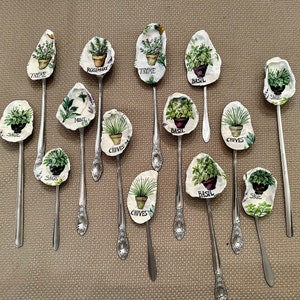 Oyster Shell Herb Plant Markers, garden lover, gardening gift