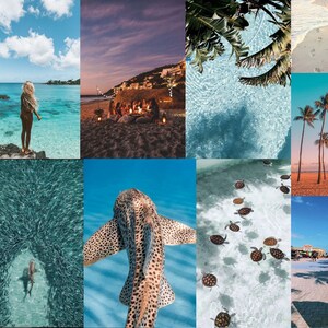 Puede incluir: Un collage de im&aacute;genes que presentan una variedad de escenas tropicales, incluyendo playas, palmeras, agua azul clara y vida marina. Las im&aacute;genes incluyen a una mujer de pie en una playa, un grupo de personas reunidas alrededor de una fogata, un primer plano de un tibur&oacute;n nadando en el agua, un grupo de tortugas marinas nadando en el agua, un letrero que dice "No necesito un hombre, necesito un bikini y un bronceado", y un delf&iacute;n nadando en el agua.