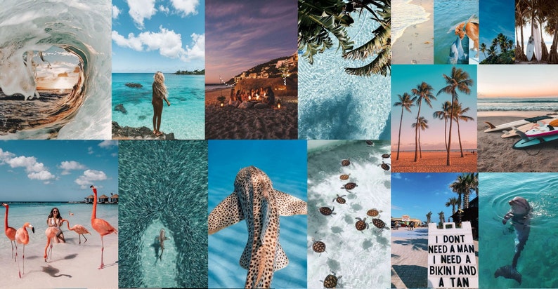 Puede incluir: Un collage de im&aacute;genes que presentan una variedad de escenas tropicales, incluyendo playas, palmeras, agua azul clara y vida marina. Las im&aacute;genes incluyen a una mujer de pie en una playa, un grupo de personas reunidas alrededor de una fogata, un primer plano de un tibur&oacute;n nadando en el agua, un grupo de tortugas marinas nadando en el agua, un letrero que dice "No necesito un hombre, necesito un bikini y un bronceado", y un delf&iacute;n nadando en el agua.