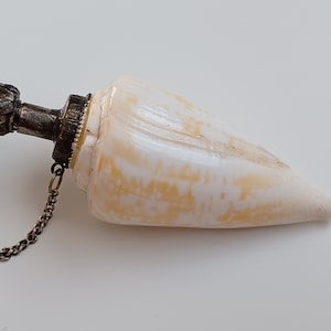 May include: A white seashell with a gold metal cap and chain. The seashell is shaped like a cone and has a smooth, polished surface.