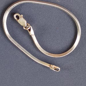 May include: A silver snake chain necklace with a lobster clasp.