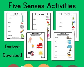 Five Senses Sorting Activity: Preschool Learning Worksheets (Digital Download)