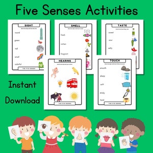 5 Senses Sorting, Five Senses Sorting Activities, 5 Senses, Lesson Plans For Preschool, Homeschool Resource, Busy Book Printable Worksheets