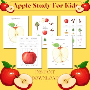 Unità di studio sulla mela,Ciclo di vita della mela,Anatomia della mela,Studio dell&#39;unità autunnale,Studio sulla natura autunnale,Programmi di lezione per la scuola materna,Autunno Montessori,Attività autunnali