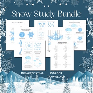 Schneeflocken Lernaktivität, Winter Lerneinheit,Winter Montessori Printables,Lebenszyklus,Ressourcen für Homeschool Printables,Snow Visual Cards,Klasse