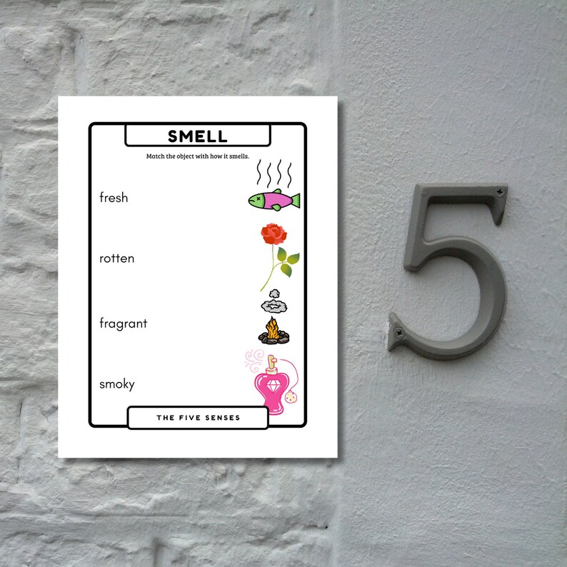 Five Senses Sorting Activity: Preschool Learning Worksheets (digital ...