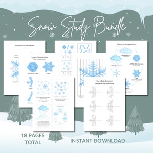 Schneeflocken Lernaktivität, Winter Lerneinheit, Winter Montessori Printables, Lebenszyklus, Homeschool Printables Ressourcen, Schnee Visuelle Karten, Klasse