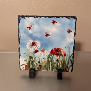 Slate Ladybug Picture, Ladybug Watercolor Design, Ladybug Plaque, Ladybugs Photo Slate, Ladybug Photo, Gift For Ladybug Lover, Ladybug  Gift