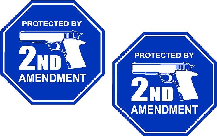 Protected By 2nd Amendment 2 Gun Decal Sticker