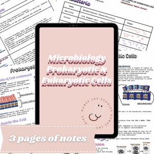 May include: A pink and white illustrated guide to microbiology, focusing on prokaryotic and eukaryotic cells. The guide includes diagrams and text explaining the structure and function of different cell types. The title "Microbiology Prokaryotic & Eukaryotic Cells" is written in a bold, pink font.