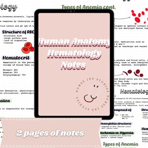 Anatomie des Menschen | Hämatologische Hinweise