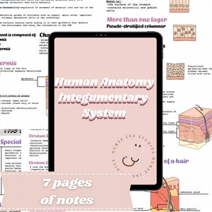 Puede incluir: Un planificador digital rosa y blanco con el título "Human Anatomy Integumentary System" y el texto "7 pages of notes". El planificador tiene un icono de estetoscopio y un dibujo de capas de piel.