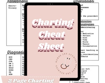 May include: A digital tablet displays a pink and white "Charting Cheat Sheet" with medical information. The sheet includes sections on assessment, diagnosis, and orientation, with the text "Nurse Jas Studies" and a stethoscope graphic.