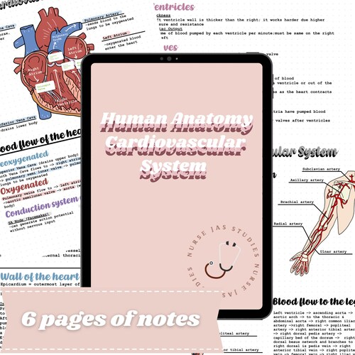 Cardiovascular System A & P Study Guide Nursing Notes the - Etsy