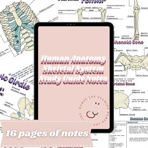 Human Anatomy | Skeletal System Notes| Arthrology Notes