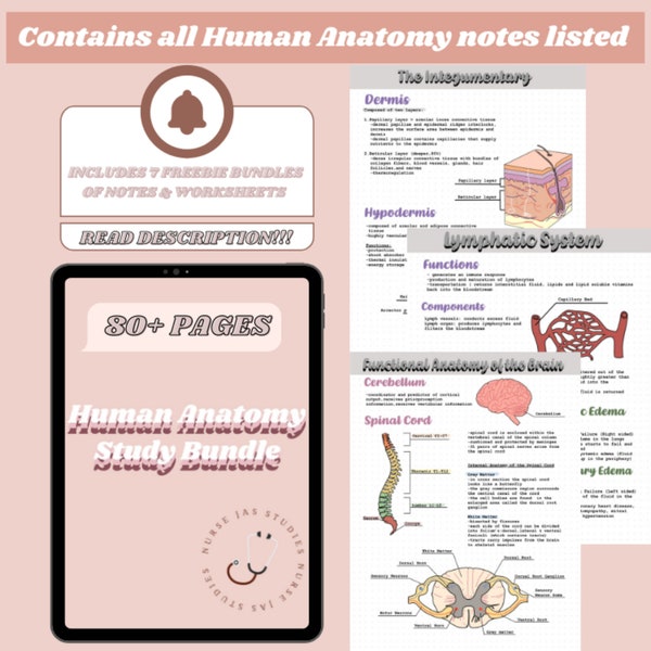 Human Anatomy Komplettes Studienpaket | Anatomie Notizen & Studienführer
