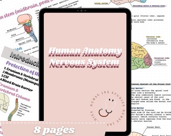 May include: A pink and white digital tablet with the text "Human Anatomy Nervous System" in a pink and white font. The tablet is open to a page with a diagram of the human brain and spinal cord. The tablet is surrounded by a pink and white background with the text "8 pages of notes" in a pink and white font.
