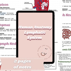 Human Anatomy | Lymphatic System Notes