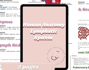 Human Anatomy | Lymphatic System Notes