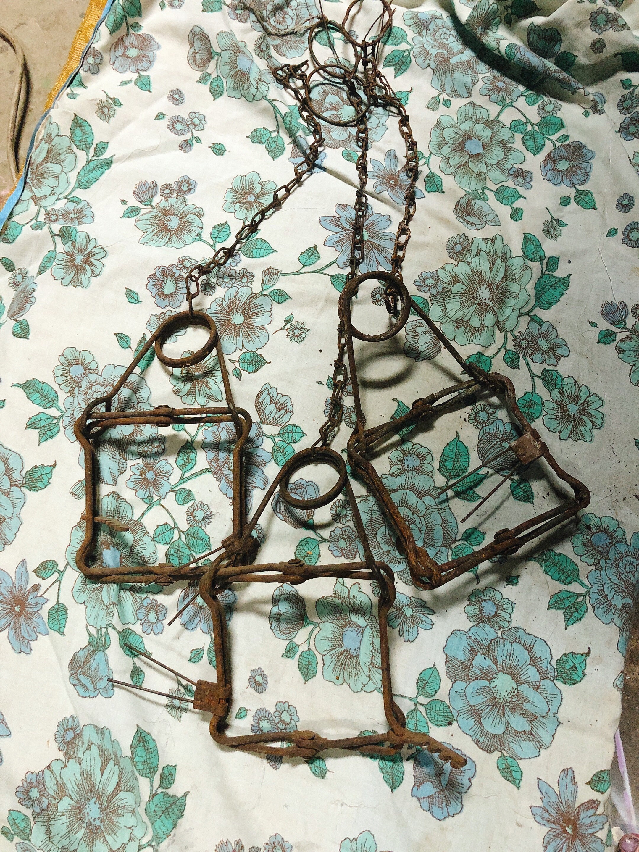 Squirrel Trap for sale Only 2 left at 70