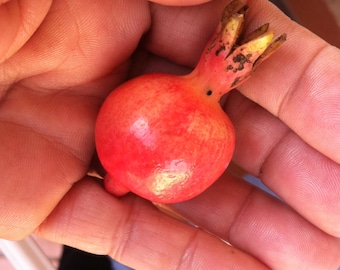 May include: A small, red pomegranate fruit held in a hand. The fruit has a rounded shape with a textured surface and a crown-like structure at the top. The color is a vibrant red with hints of yellow and brown.