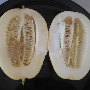 Hami Chinese melon 10 Seeds image 2