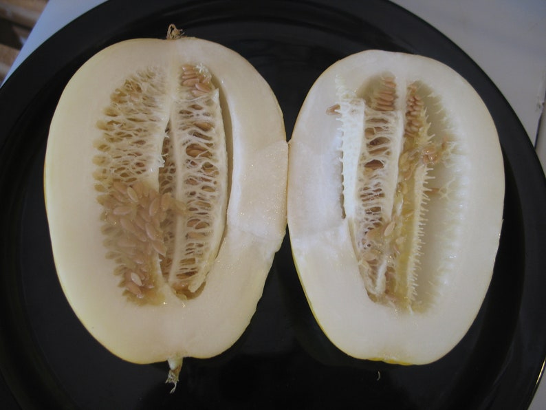 Hami Chinese melon 10 Seeds image 2