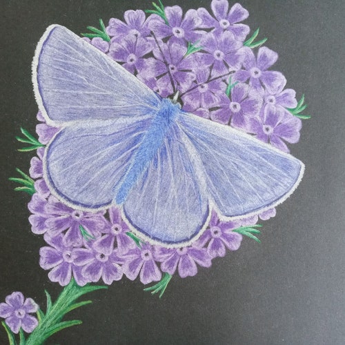 Powder Blue Butterfly On Purple Flowers Original Vintage Style shops Framed Cottagecore Art