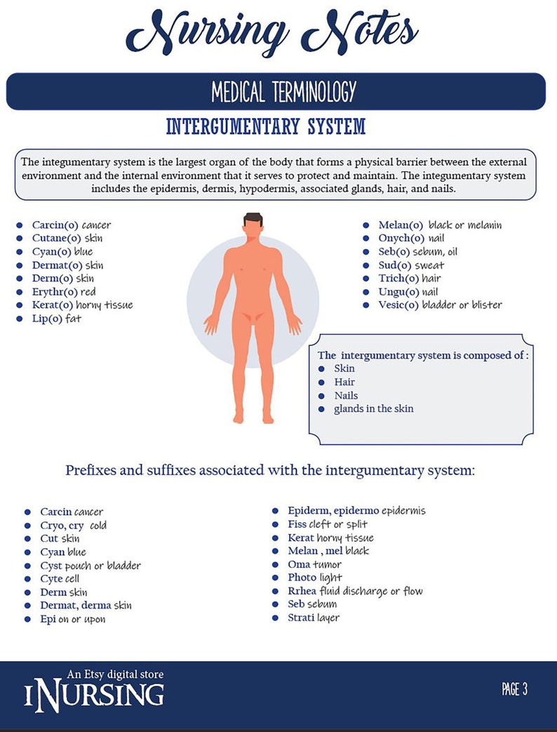 Medical Terminology Cheat Sheet Etsy Australia