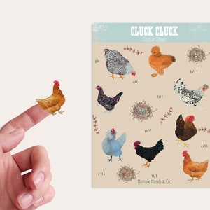 Chicken Sticker Sheet| Backyard Chickens | Planner Stickers