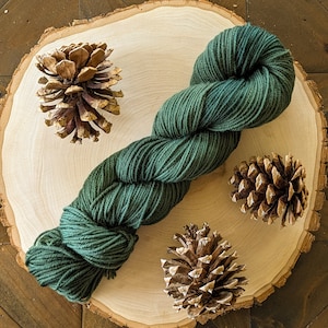 Merino DK Yarn in Pine, Hand Dyed Yarn, Superwash DK Weight Yarn, Superwash Merino Yarn, DK Sock Yarn, Sweater Yarn, Merino Wool Yarn