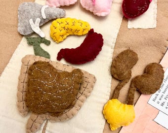 Human Anatomy Feltie Set, Human Anatomy , Human Body Feltie Set, Felties