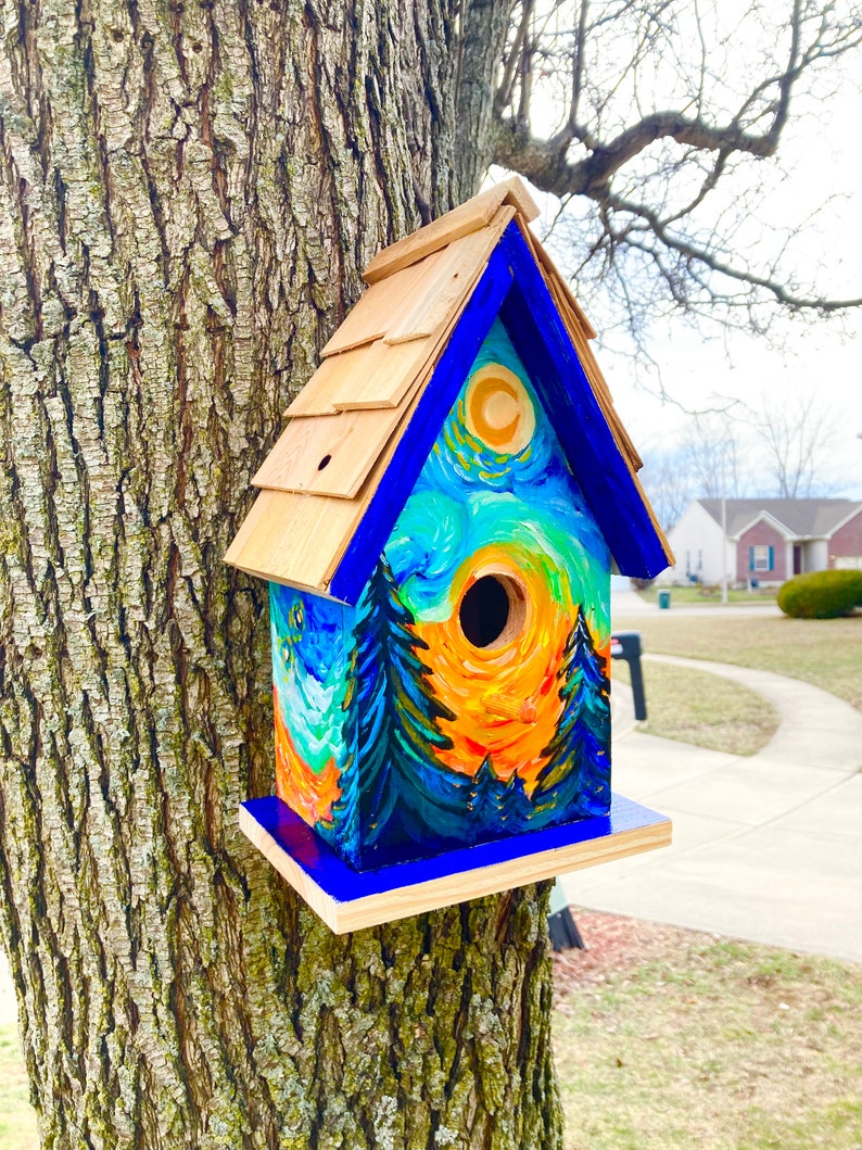 Modern Wooden Cedar Birdhouse Plan Instructions Garden Etsy