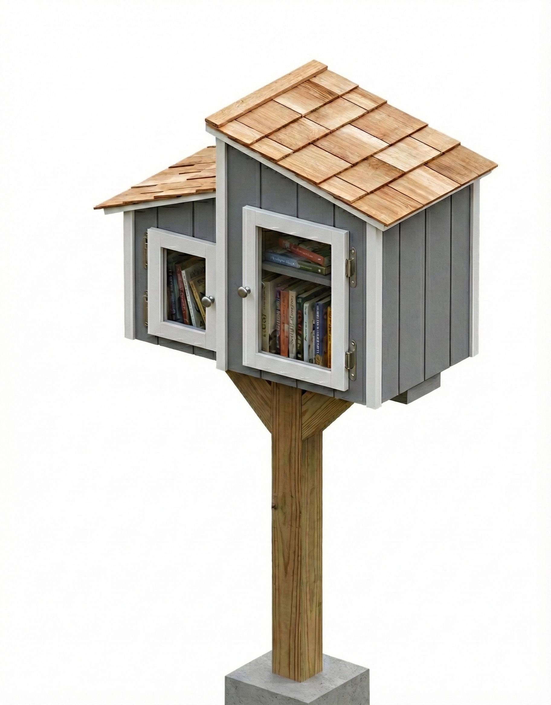 Little Free Library Pantry Book Share Beginner Friendly Woodworking ...