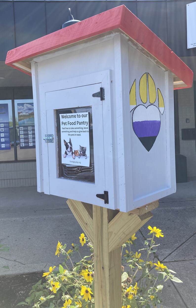 Plano de carpintería para compartir en la despensa de Little Free Library - Plano de proyecto de madera fácil - Proyectos de madera para vender imagen 6
