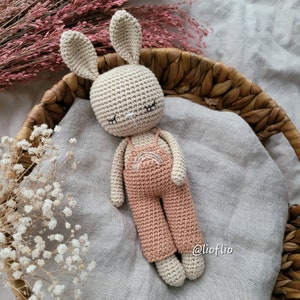 PDF Pattern rabbit with dungarees toy cuddly toy amigurumi crochet instructions de/en