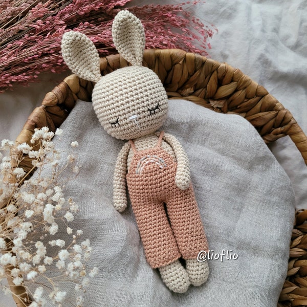 PDF Pattern Hase mit Latzhose Spielzeug Kuscheltier amigurumi Häkelanleitung de/en