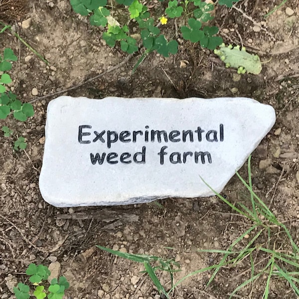 A Hand Sandblasted Engraved, West Mountain Tumbled Flagstone: "Experimental weed farm"  ---  READY TO SHIP today