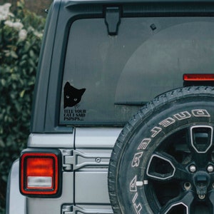 Tell Your Cat I Said PSPSPS Permanent Vinyl Decal
