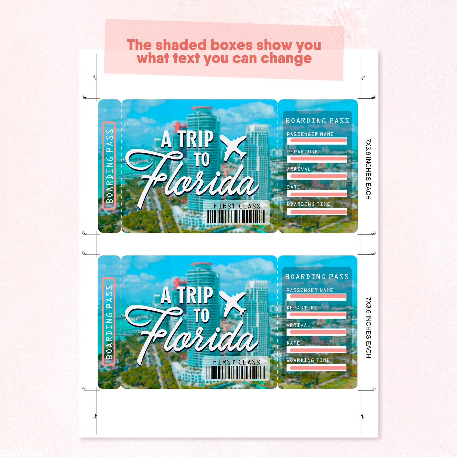 Florida Printable Airline Ticket Boarding Pass Template Etsy