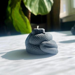 Black Snake Candle | Organic Beeswax Sculptural Decor | Protection Candle