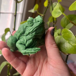 Green Frog Candle | Beeswax Soy Prosperity Decor | 2” Lucky Toad