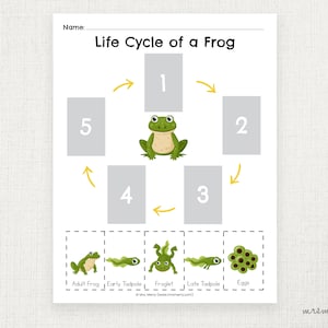 May include: A printable worksheet for kids to learn about the life cycle of a frog. The worksheet has a circle with numbers 1 through 5 and arrows showing the order of the life cycle. There are five images below the circle showing the different stages of the frog's life cycle: adult frog, early tadpole, froglet, late tadpole, and eggs.