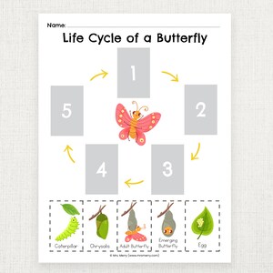 Butterfly Life Cycle for Kids Printable - Etsy