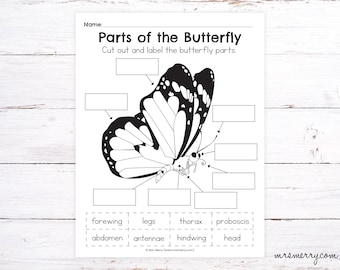 Parts of the Butterfly Worksheet